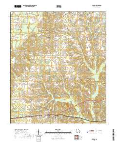 Whigham 2020 topographic map thumbnail