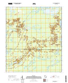 Billys Island 2020 topographic map thumbnail