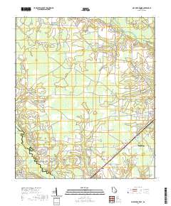 Blackshear West 2020 topographic map thumbnail