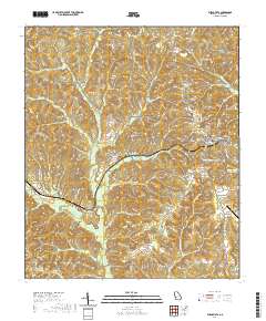 Buena Vista 2020 topographic map thumbnail