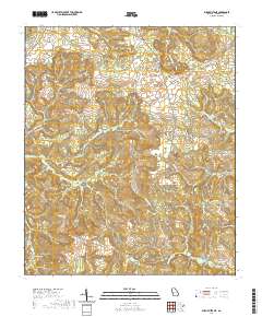 Buena Vista NE 2020 topographic map thumbnail