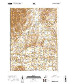 Goodnews Bay D-4 NE topographic map thumbnail