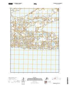 Kuskokwim Bay D-5 SW topographic map thumbnail
