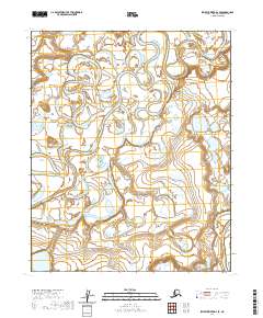 Ikpikpuk River D-4 SE topographic map thumbnail