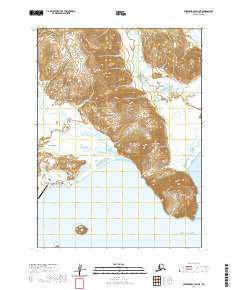 Stepovak Bay D-4 NE topographic map thumbnail
