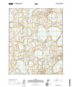 Teshekpuk A-2 NE topographic map thumbnail