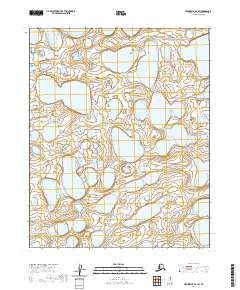 Teshekpuk A-2 SW topographic map thumbnail