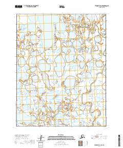 Teshekpuk C-4 NW topographic map thumbnail