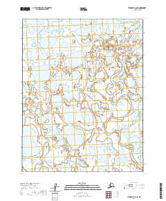 Teshekpuk C-5 NE topographic map thumbnail