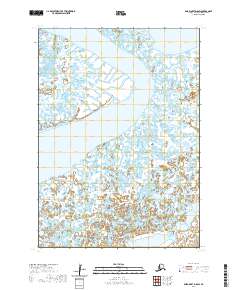 Baird Inlet D-8 SW topographic map thumbnail