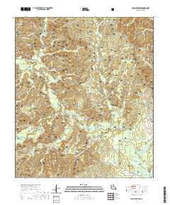 Bayou Livrogne 2020 topographic map thumbnail