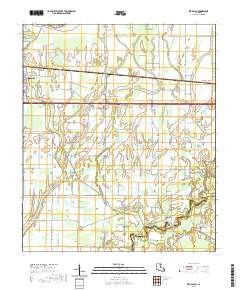 Bee Bayou 2020 topographic map thumbnail
