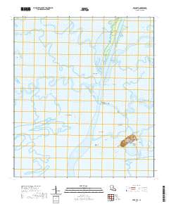 Belle Isle 2020 topographic map thumbnail