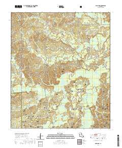 Bellwood 2020 topographic map thumbnail