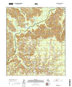 Cocodrie Lake 2020 topographic map thumbnail