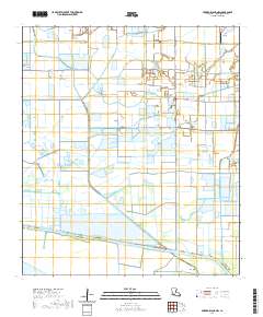 Forked Island NW 2020 topographic map thumbnail