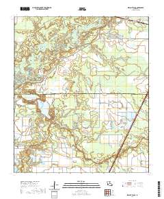 Indian Village 2020 topographic map thumbnail