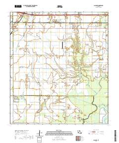 Lacassine 2020 topographic map thumbnail