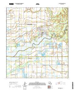 Lake Arthur 2020 topographic map thumbnail