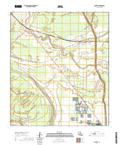 Palmetto 2020 topographic map thumbnail