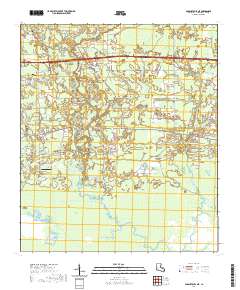 Ponchatoula NE 2020 topographic map thumbnail
