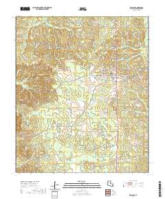 Ringgold 2020 topographic map thumbnail
