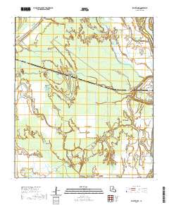 Swayze Lake 2020 topographic map thumbnail