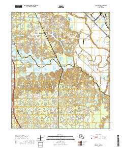 Wallace Lake 2020 topographic map thumbnail