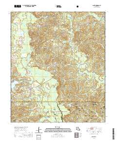 Saline 2020 topographic map thumbnail
