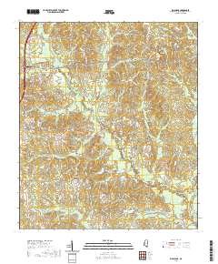 Big Swamp 2020 topographic map thumbnail