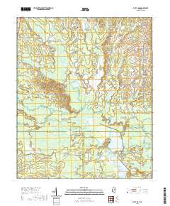 Bluff Lake 2021 topographic map thumbnail