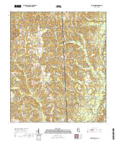 Brown Town 2020 topographic map thumbnail