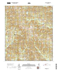Browns Lake 2020 topographic map thumbnail