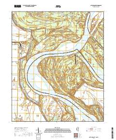 Catfish Point 2020 topographic map thumbnail