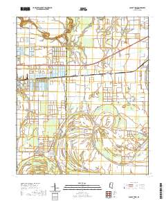 Colony Town 2020 topographic map thumbnail