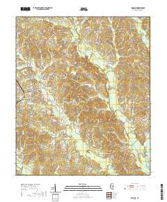 Decatur 2020 topographic map thumbnail