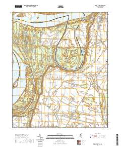 Friars Point 2020 topographic map thumbnail