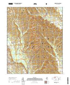 Houston East 2021 topographic map thumbnail