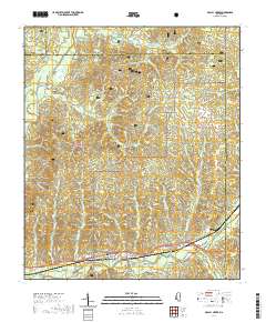 McCall Creek 2021 topographic map thumbnail