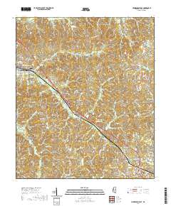 Mendenhall East 2020 topographic map thumbnail