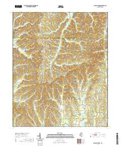 Pleasant Ridge 2020 topographic map thumbnail