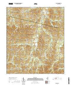 Red Lick 2020 topographic map thumbnail