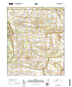Round Lake 2020 topographic map thumbnail