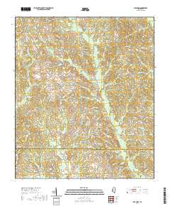 Savannah 2020 topographic map thumbnail