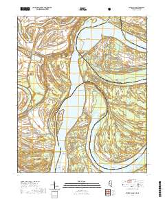 Stubbs Island 2021 topographic map thumbnail
