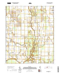 Swan Lake NW 2020 topographic map thumbnail