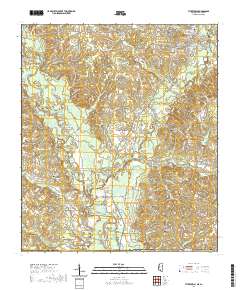 Tylertown 2020 topographic map thumbnail