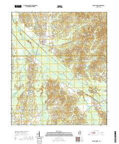 Walnut Grove 2020 topographic map thumbnail