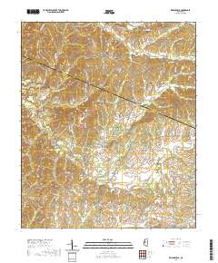 Zeiglerville 2020 topographic map thumbnail