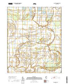 Walnut Lake 2020 topographic map thumbnail